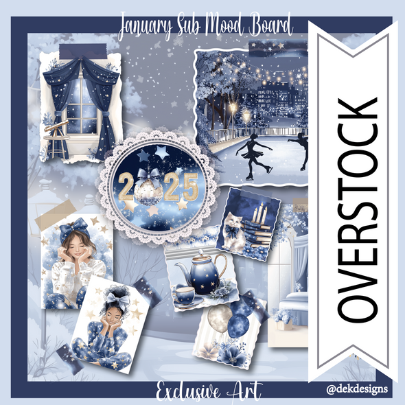 January Overstock Subscription Box 2025