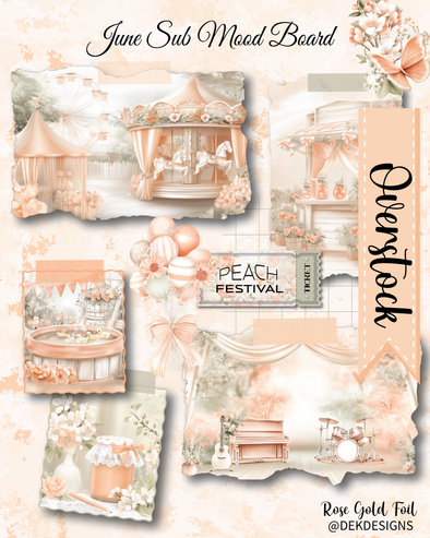 June Overstock Subscription Box